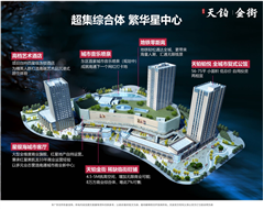 红星天铂
