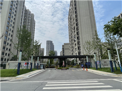中创大都会