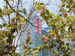 中港白金大厦